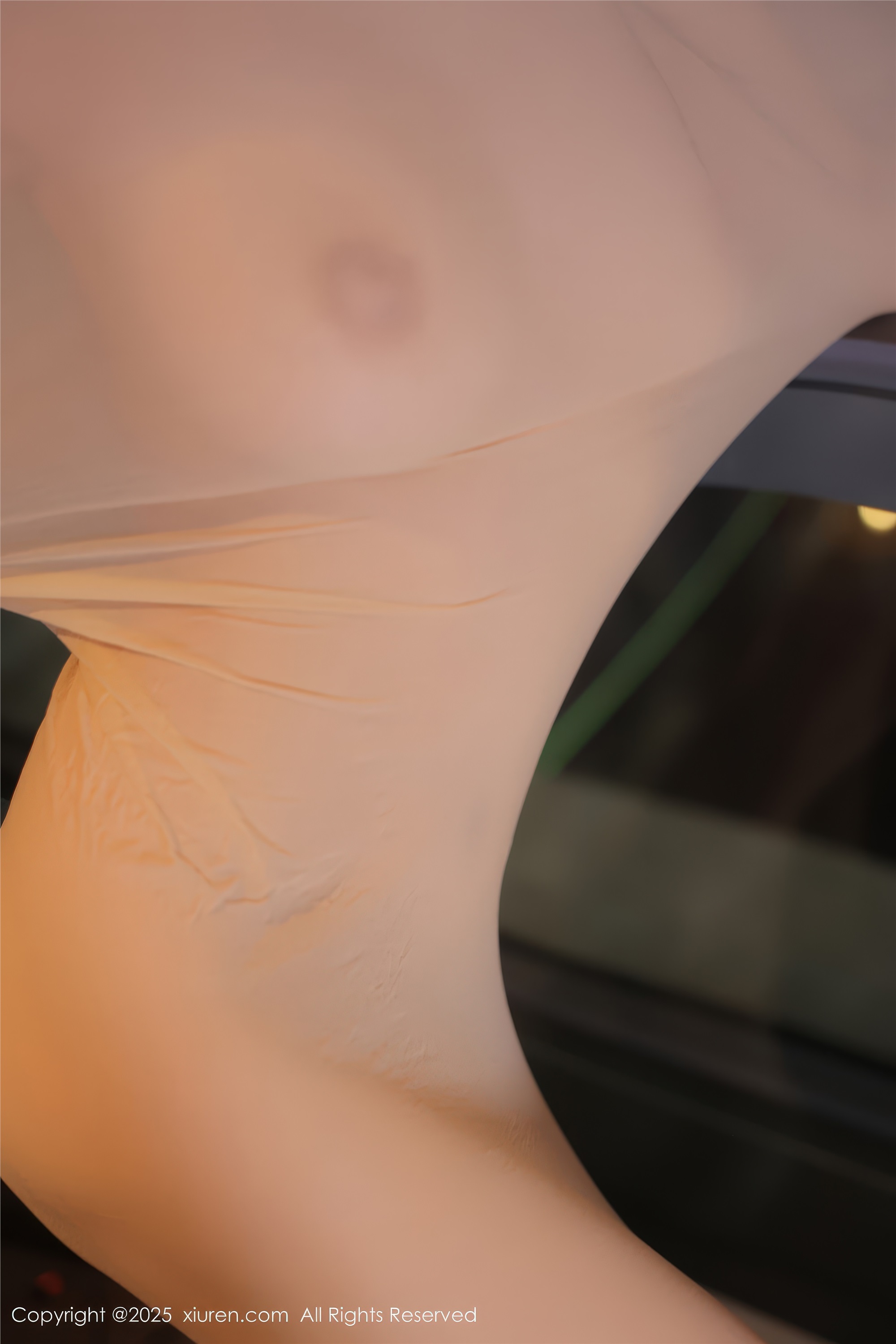 Xiuren秀人网 2025.02.08 NO.9860 Candy糖糖